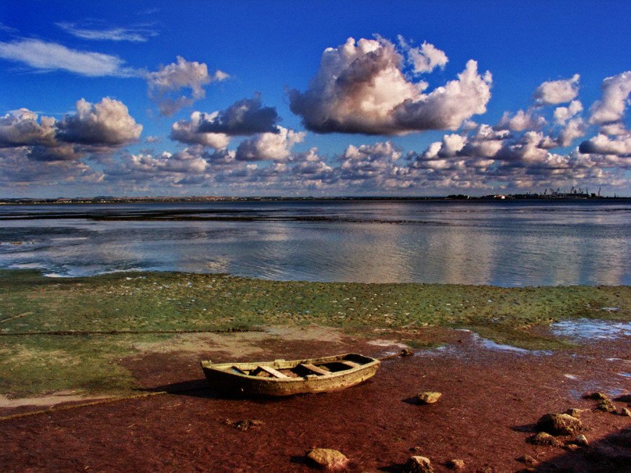Playa La Cachucha en Puerto Real, Cádiz