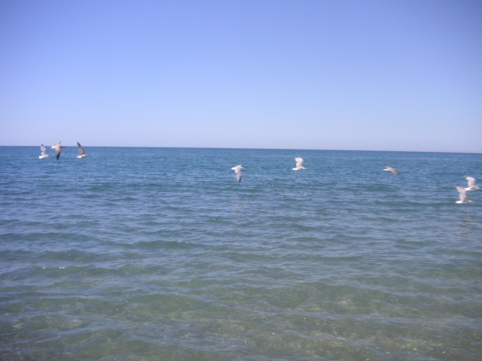 Playa Las Amoladeras en Almería, Almería
