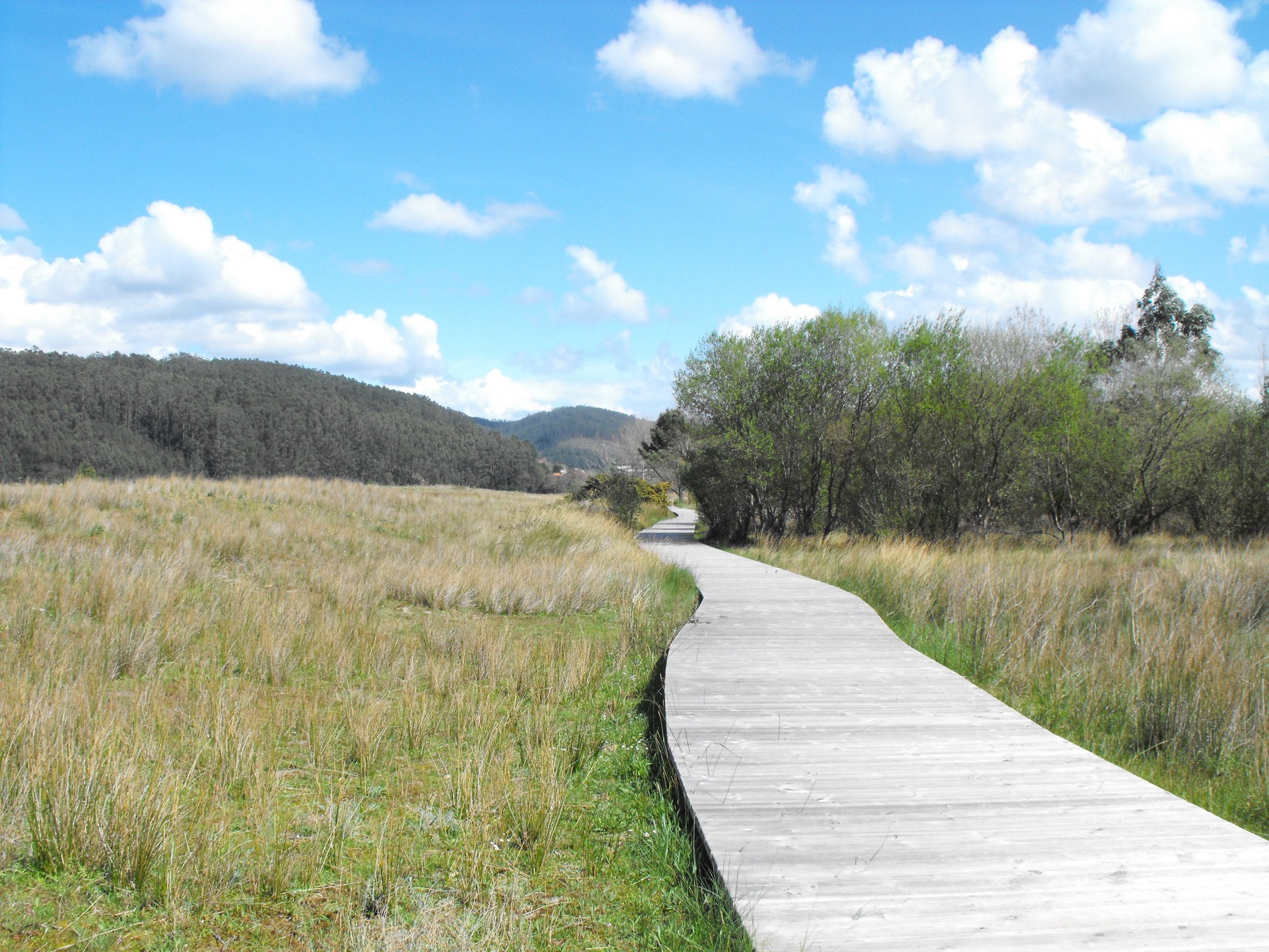 Playa Villarrube en Valdoviño, A Coruña